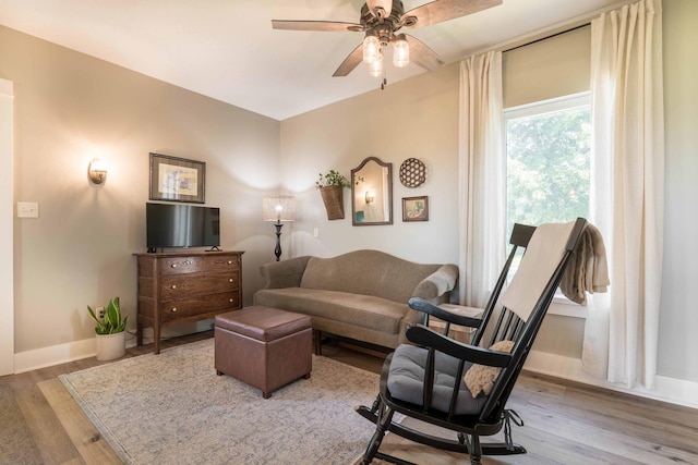 18377 County Highway 25, Fergus Falls, MN 56537 - living room featuring wood finished floors and ceiling fan
