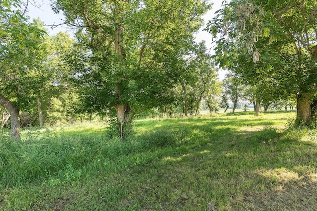 18377 County Highway 25, Fergus Falls, MN 56537 - view of nature