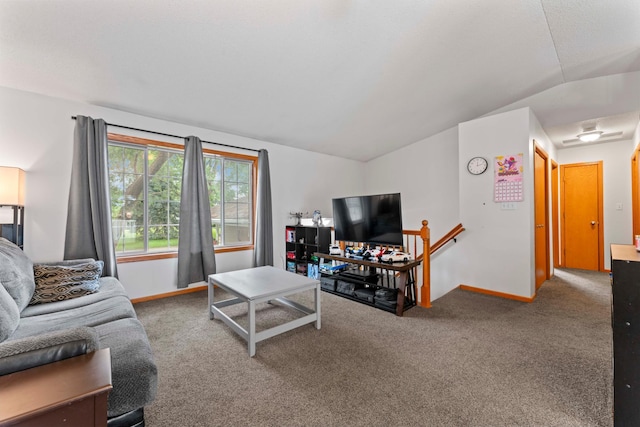3902 Strathmore Ln SE, Rochester, MN 55904 - living area with vaulted ceiling and carpet floors