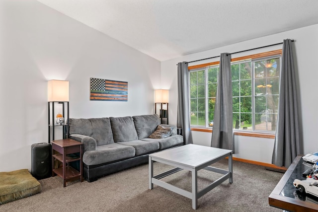 3902 Strathmore Ln SE, Rochester, MN 55904 - living area with carpet and vaulted ceiling