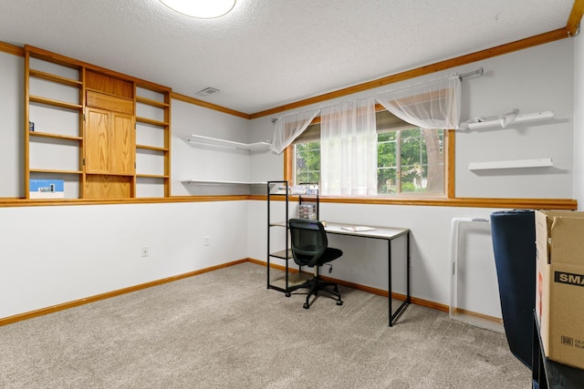 3902 Strathmore Ln SE, Rochester, MN 55904 - unfurnished office featuring carpet, a textured ceiling, and ornamental molding