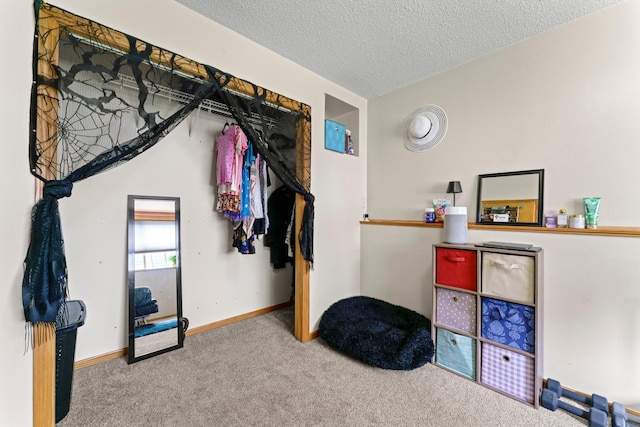 3902 Strathmore Ln SE, Rochester, MN 55904 - bedroom featuring carpet and a textured ceiling