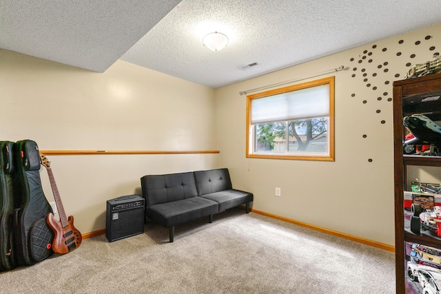 3902 Strathmore Ln SE, Rochester, MN 55904 - sitting room with carpet flooring and a textured ceiling