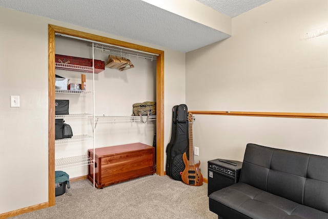 3902 Strathmore Ln SE, Rochester, MN 55904 - view of closet