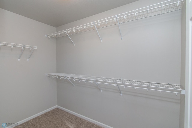 1449 68th Ave S, Fargo, ND 58104 - spacious closet featuring carpet flooring