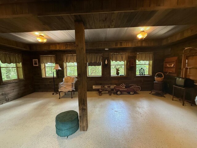 40257 Elbow Lake Store Rd, Round Lake N Twp, MN 56589 - miscellaneous room with wooden walls and wooden ceiling