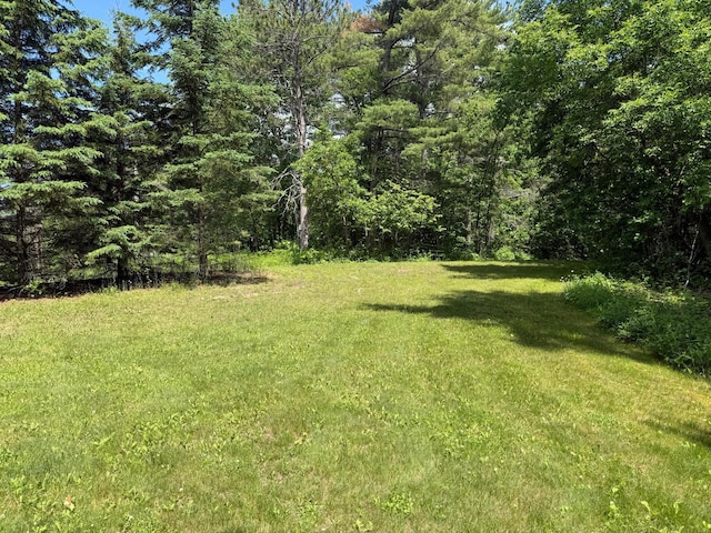 40257 Elbow Lake Store Rd, Round Lake N Twp, MN 56589 - view of grassy yard featuring a view of trees