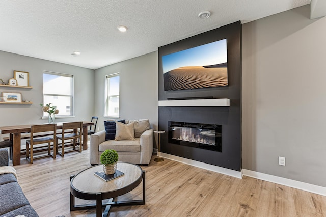 12719 Erskin St NE, Blaine, MN 55449 - living room with wood finished floors, a fireplace, and a textured ceiling