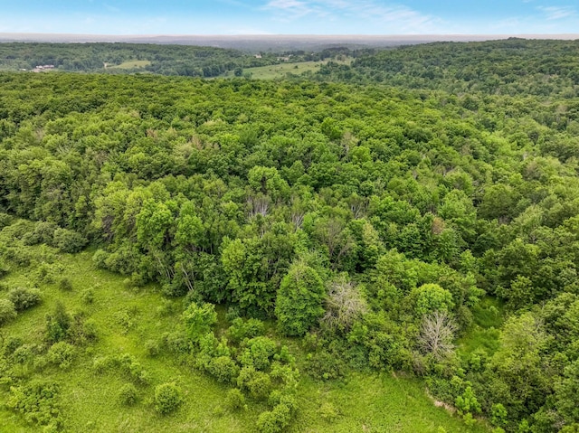 17ACRES 27th St, Chetek, WI 54728