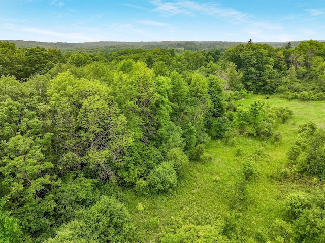 17ACRES 27th St, Chetek, WI 54728