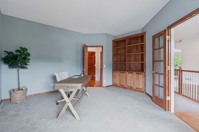 343 Waycliffe Dr N, Wayzata, MN 55391 - office featuring carpet and french doors