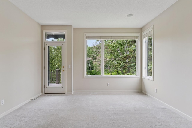 343 Waycliffe Dr N, Wayzata, MN 55391 - carpeted spare room featuring healthy amount of natural light and a textured ceiling