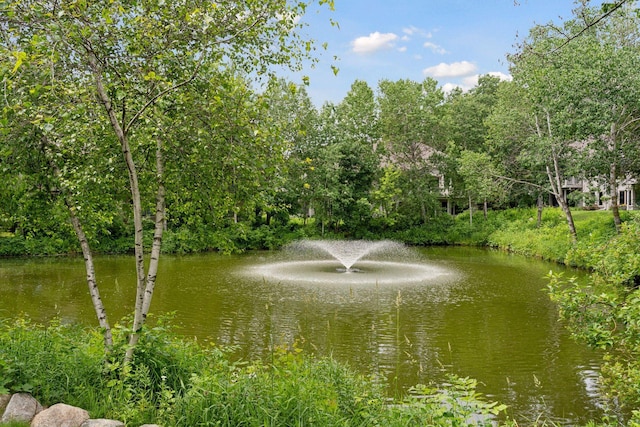 343 Waycliffe Dr N, Wayzata, MN 55391 - water view