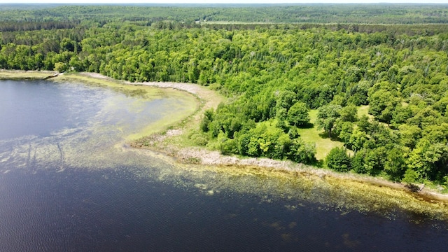 TBD Wheeler Rd, Northome, MN 56661