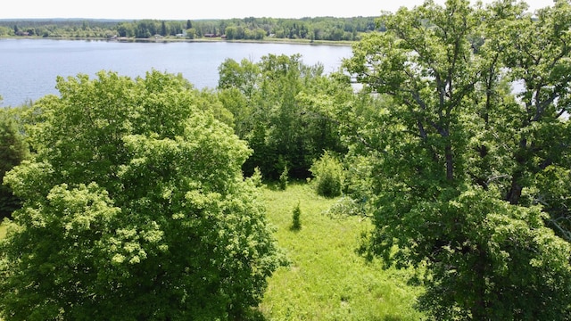 TBD Wheeler Rd, Northome, MN 56661