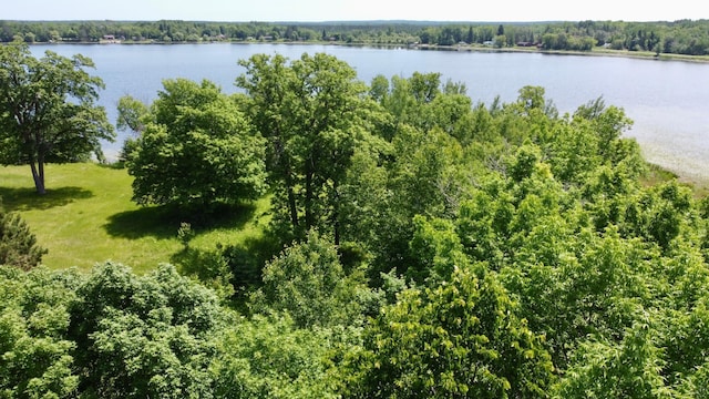 TBD Wheeler Rd, Northome, MN 56661