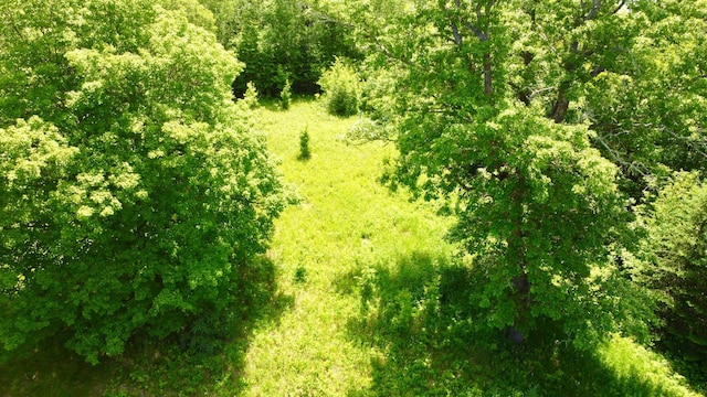 TBD Wheeler Rd, Northome, MN 56661