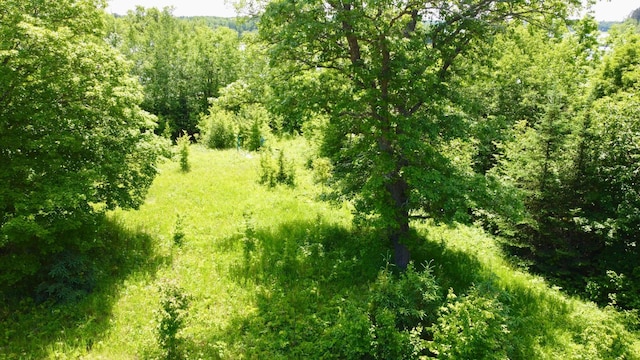 TBD Wheeler Rd, Northome, MN 56661