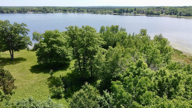 TBD Wheeler Rd, Northome, MN 56661