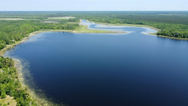 TBD Wheeler Rd, Northome, MN 56661