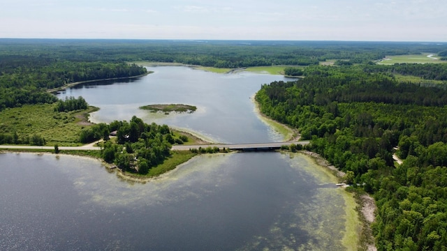 TBD Wheeler Rd, Northome, MN 56661