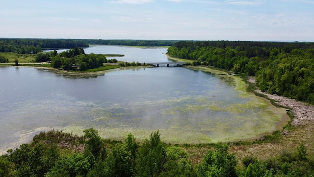 TBD Wheeler Rd, Northome, MN 56661