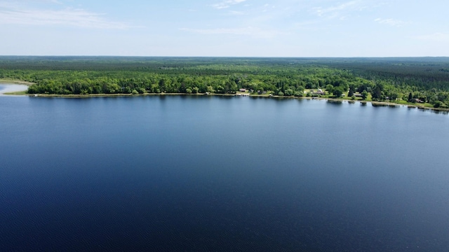 TBD Wheeler Rd, Northome, MN 56661