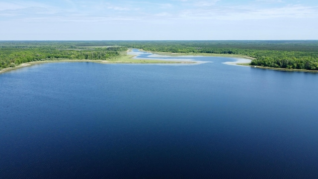 TBD Wheeler Rd, Northome, MN 56661
