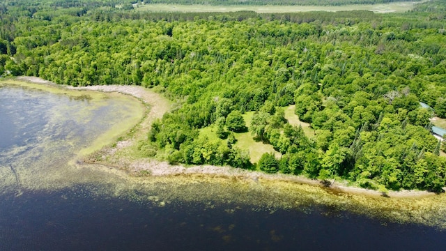 TBD Wheeler Rd, Northome, MN 56661