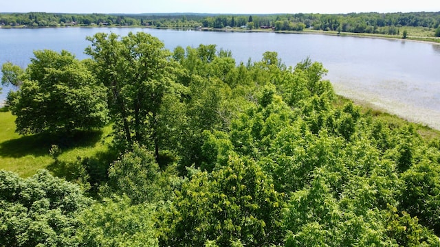 TBD Wheeler Rd, Northome, MN 56661
