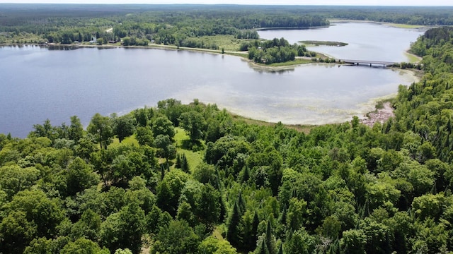 TBD Wheeler Rd, Northome, MN 56661