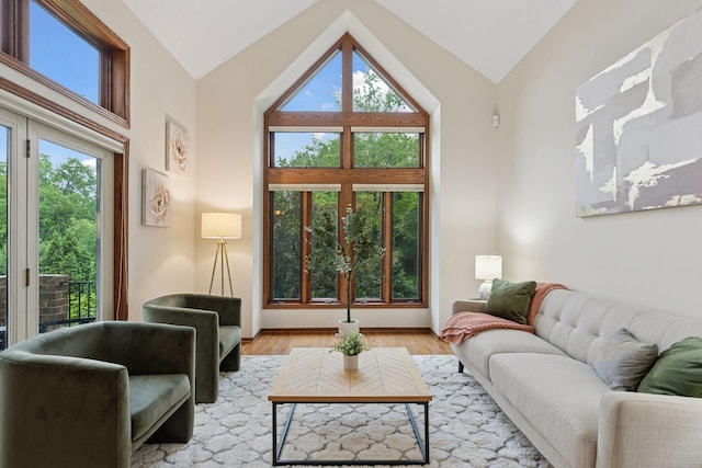729 Summit Ave, Saint Paul, MN 55105 - living room with vaulted ceiling and wood finished floors