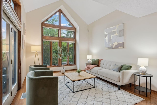 729 Summit Ave, Saint Paul, MN 55105 - living area with healthy amount of natural light, wood finished floors, and lofted ceiling