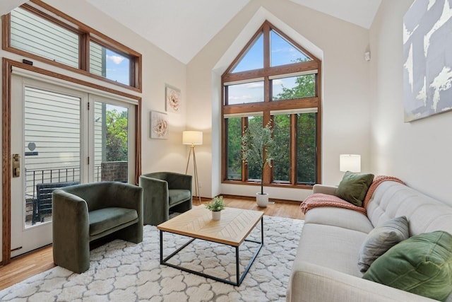 729 Summit Ave, Saint Paul, MN 55105 - living room with vaulted ceiling and wood finished floors