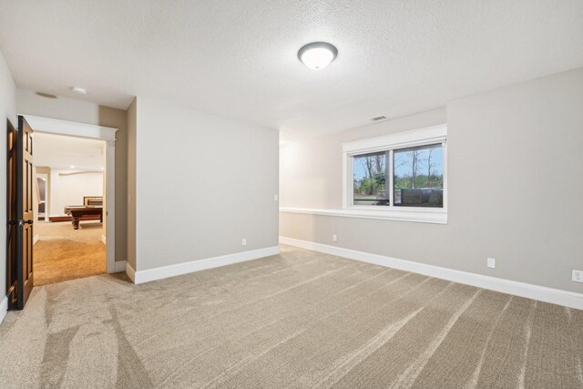 7343 256th St, Wyoming, MN 55092 - photo 50