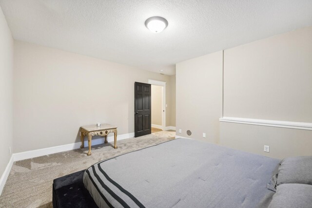 7343 256th St, Wyoming, MN 55092 - photo 56