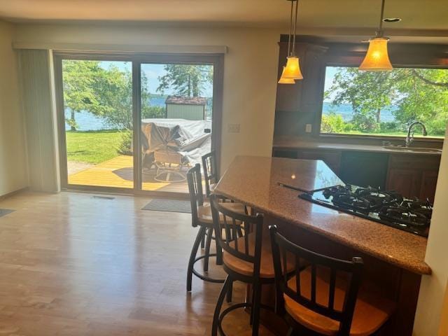 6420 Birchmont Dr NE, Bemidji, MN 56601 - photo 21