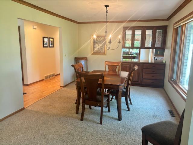 6420 Birchmont Dr NE, Bemidji, MN 56601 - photo 24