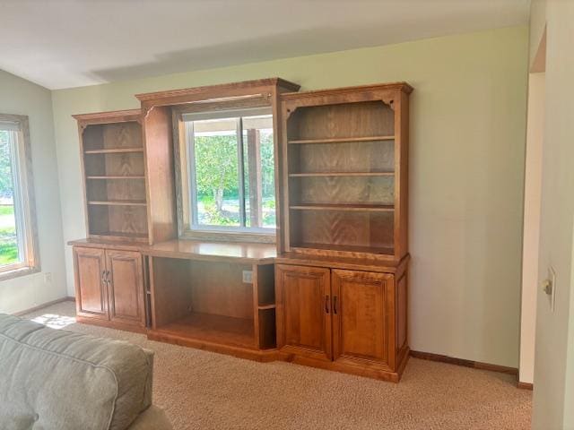 6420 Birchmont Dr NE, Bemidji, MN 56601 - photo 32