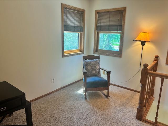 6420 Birchmont Dr NE, Bemidji, MN 56601 - photo 40