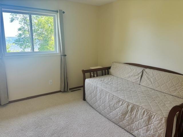 6420 Birchmont Dr NE, Bemidji, MN 56601 - photo 41
