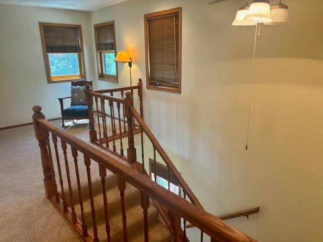 6420 Birchmont Dr NE, Bemidji, MN 56601 - photo 54