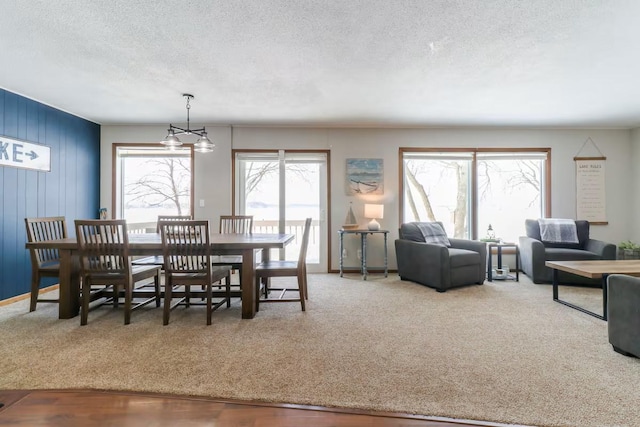 5960 165th St NE, Atwater, MN 56209 - dining area featuring a textured ceiling, carpet, and wood walls