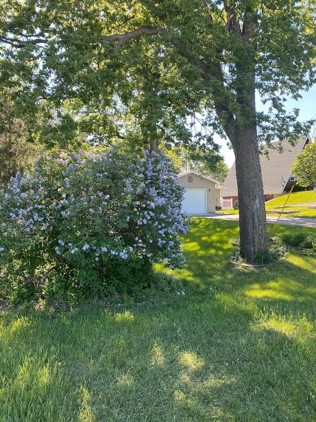 5960 165th St NE, Atwater, MN 56209 - view of green lawn with a detached garage