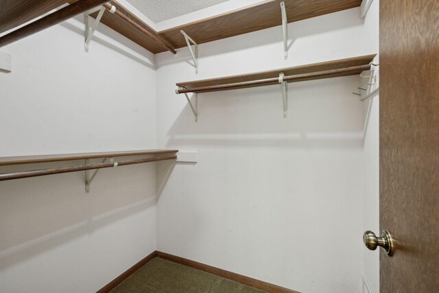 7516 Colorado Ave N, Brooklyn Park, MN 55443 - walk in closet with dark colored carpet