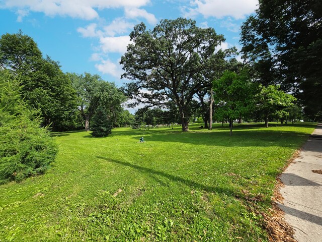 2619 7th St, Minneapolis, MN 55454 - photo 39