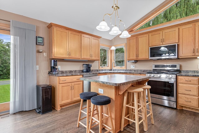 22027 Ethan Ave, Forest Lake, MN 55025 - kitchen with appliances with stainless steel finishes, dark wood finished floors, vaulted ceiling, and plenty of natural light