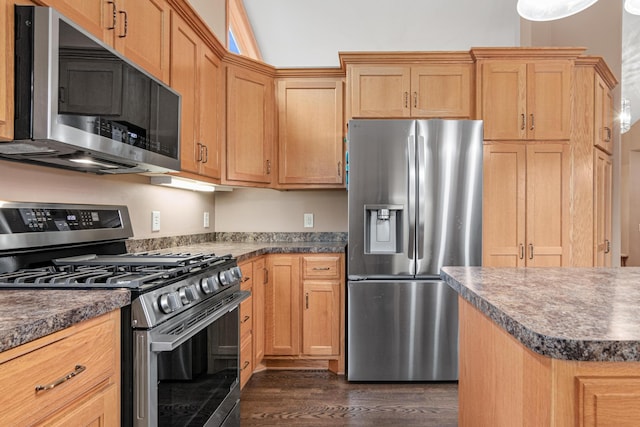 22027 Ethan Ave, Forest Lake, MN 55025 - kitchen with appliances with stainless steel finishes, dark wood-style flooring, and dark countertops