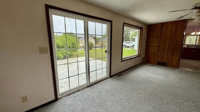 112 4th St E, Park Rapids, MN 56470 - entryway with carpet, a ceiling fan, healthy amount of natural light, and a textured ceiling