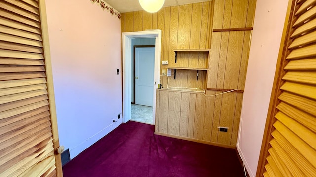 112 4th St E, Park Rapids, MN 56470 - unfurnished room featuring dark colored carpet and wood walls